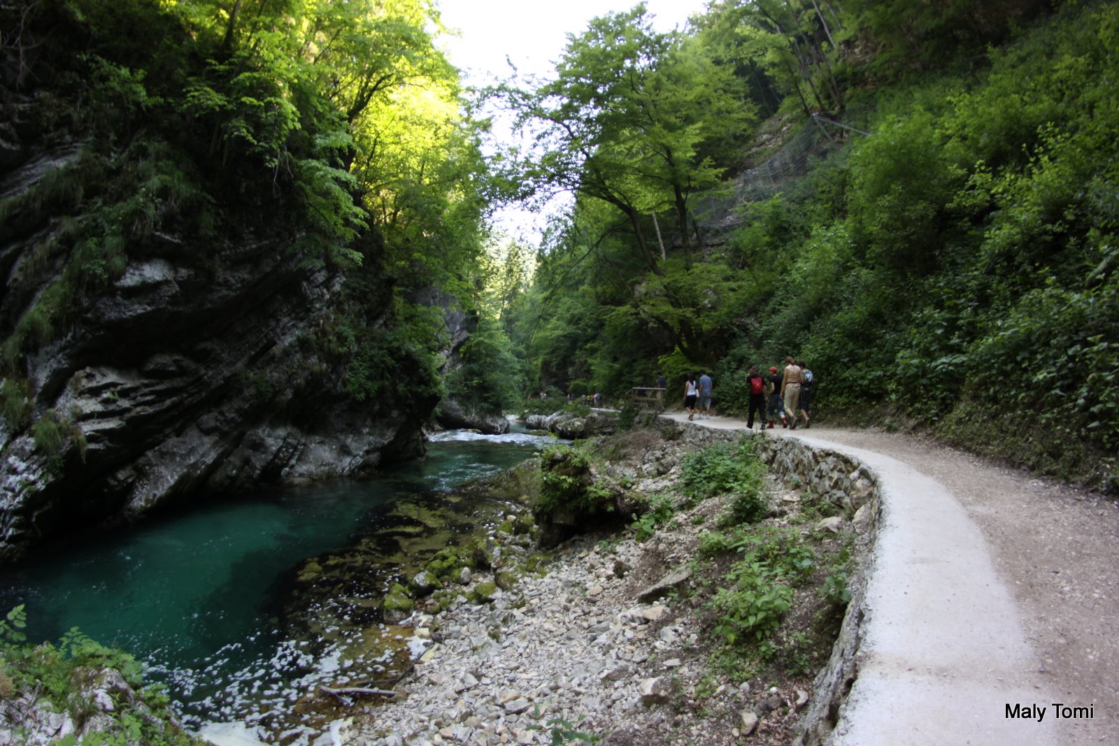IMG_8912