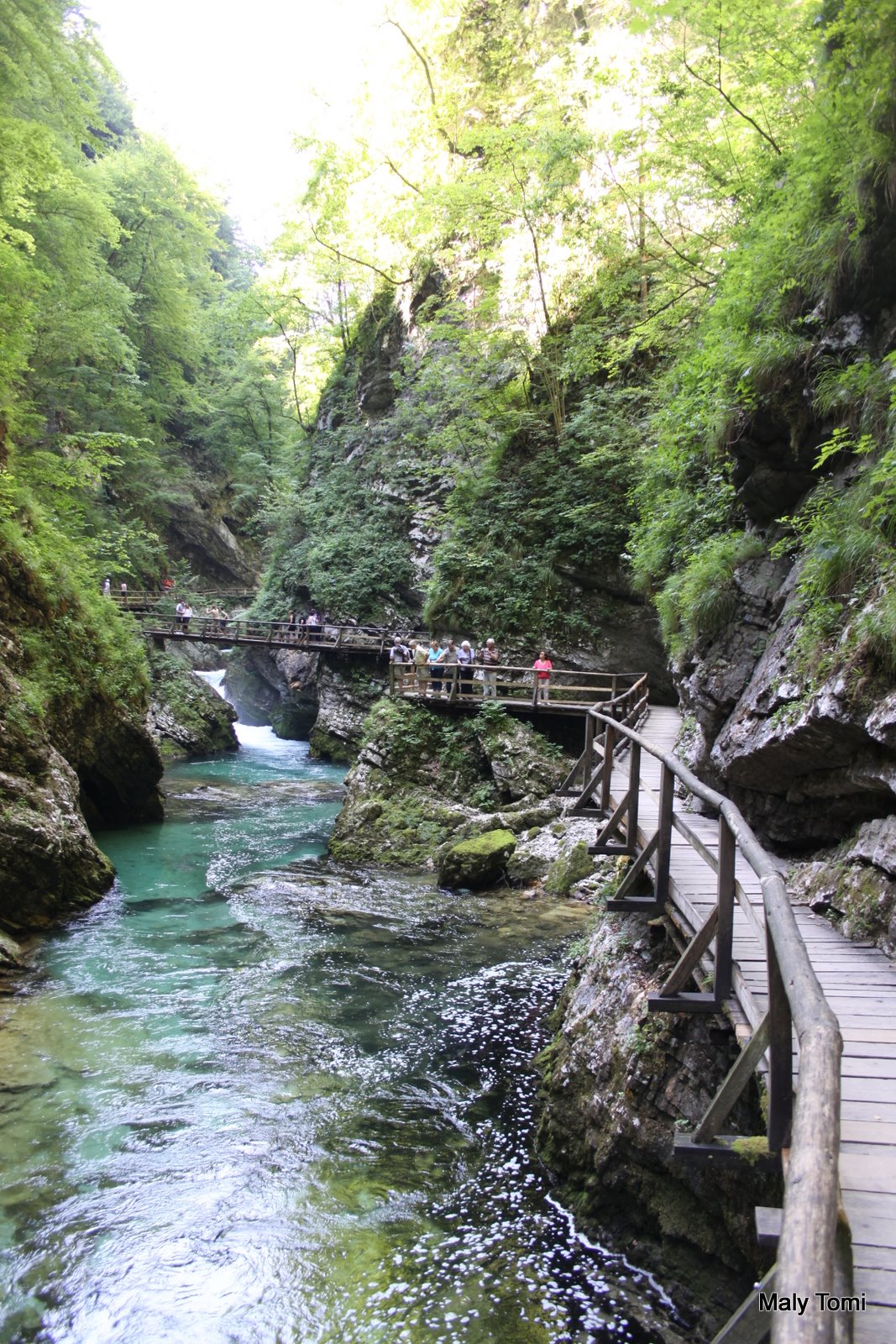IMG_8941