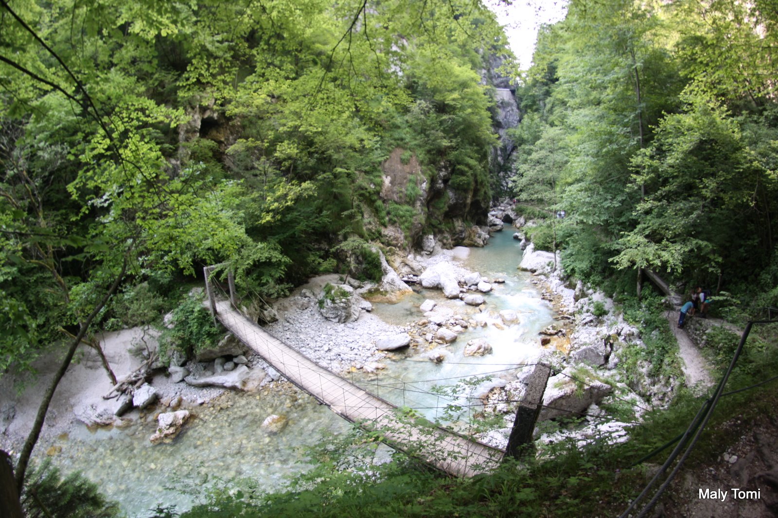 IMG_8980