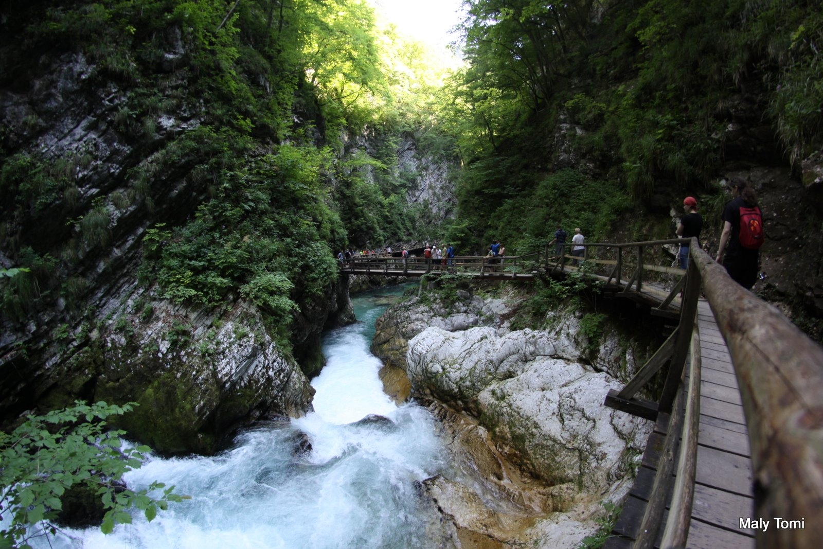 IMG_8920