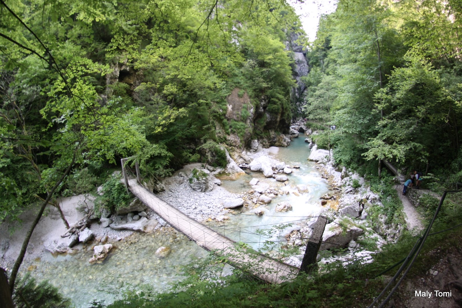 IMG_8980