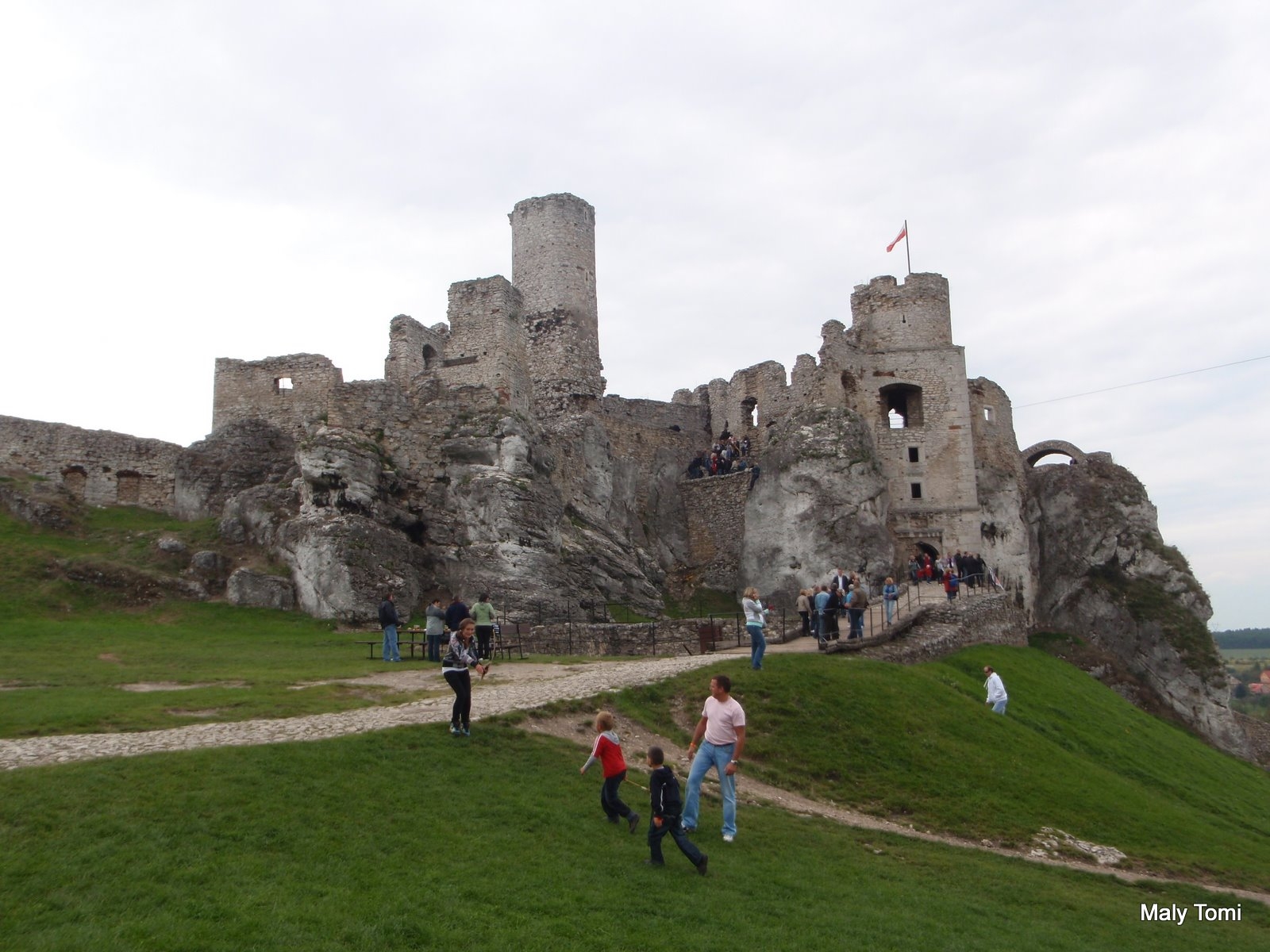 OLYMPUS DIGITAL CAMERA