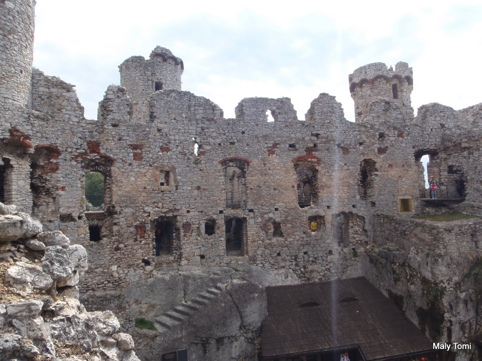 OLYMPUS DIGITAL CAMERA