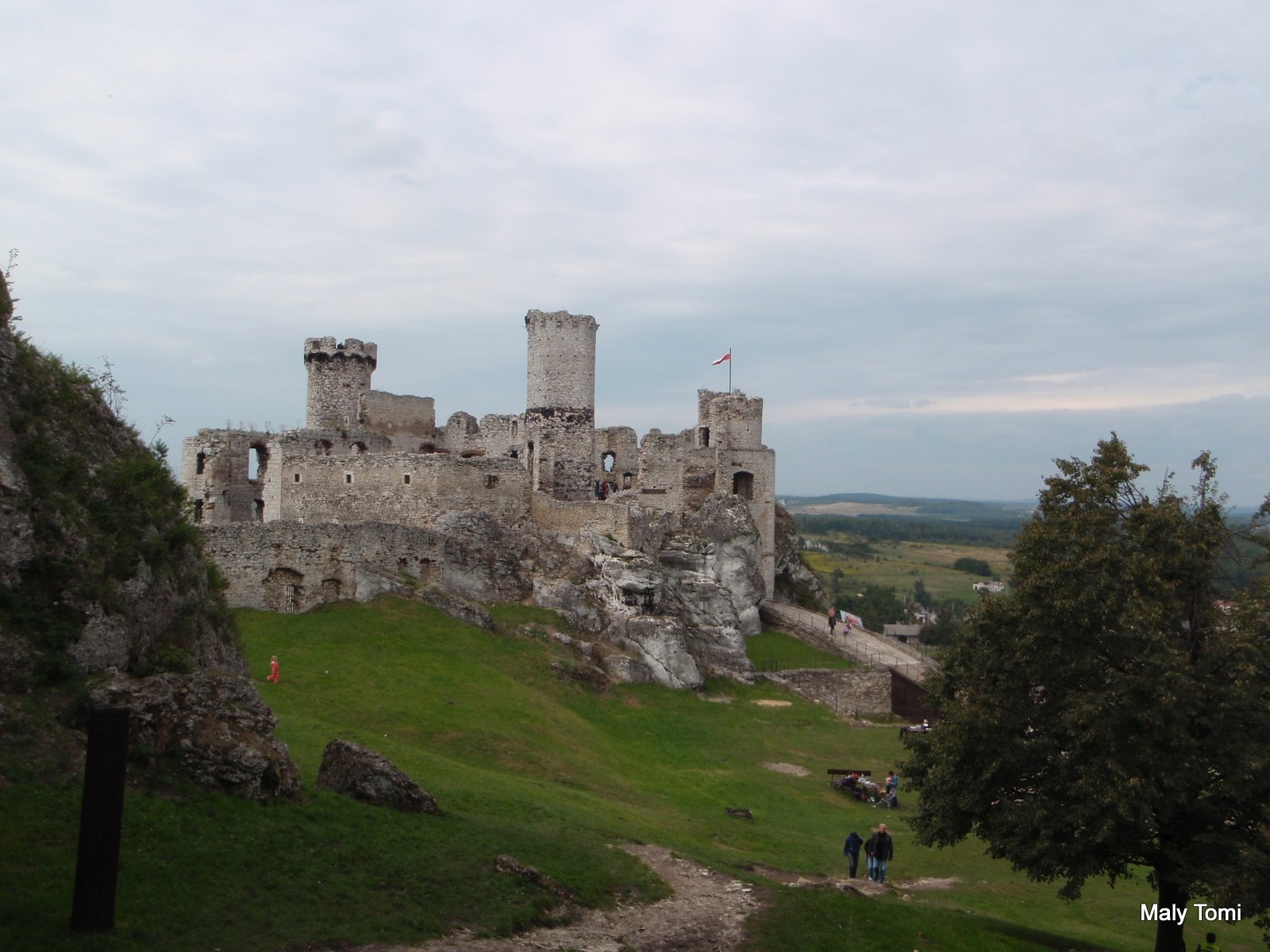 OLYMPUS DIGITAL CAMERA