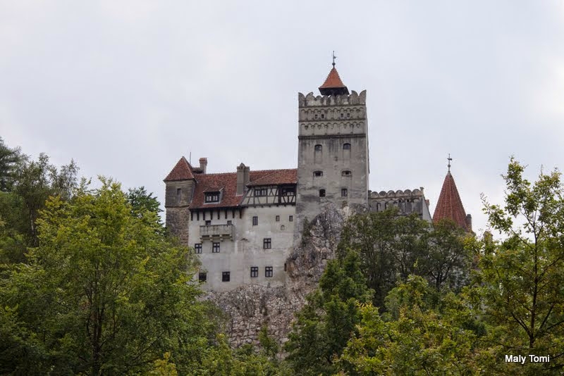 _MG_3539