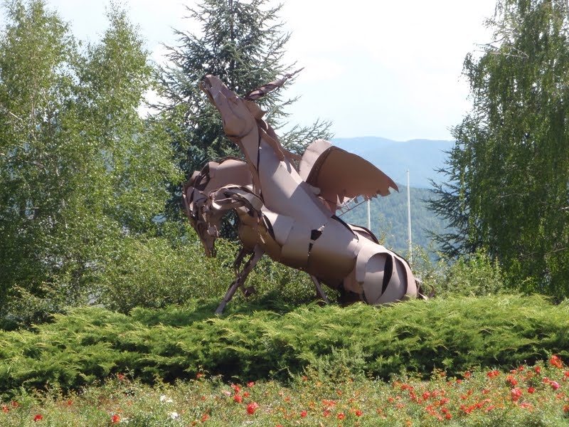 OLYMPUS DIGITAL CAMERA