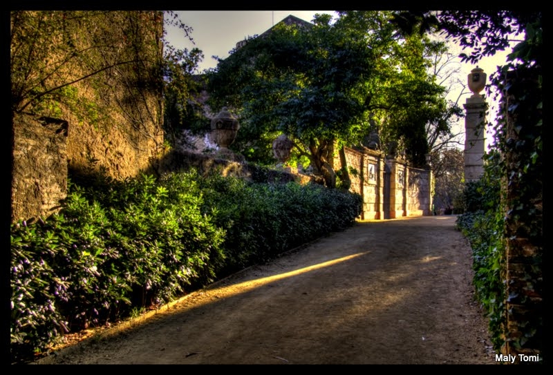 _MG_8782_3_4_tonemapped