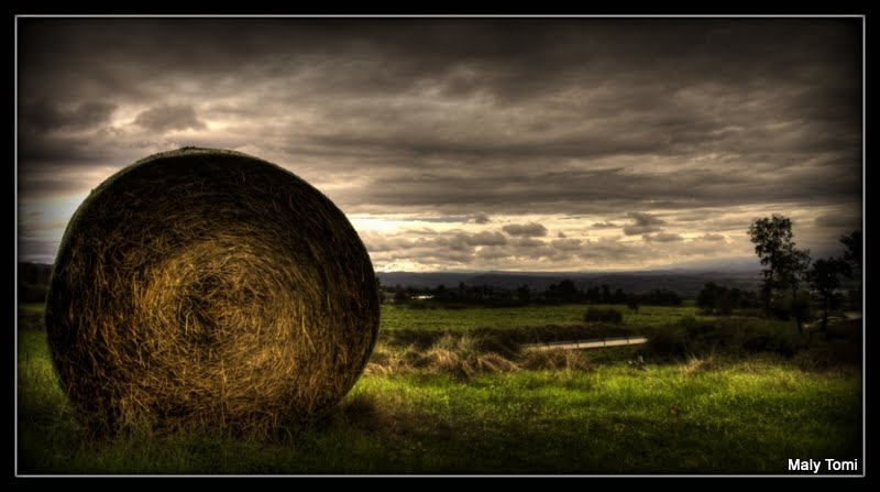 _MG_7811_2_3_tonemapped