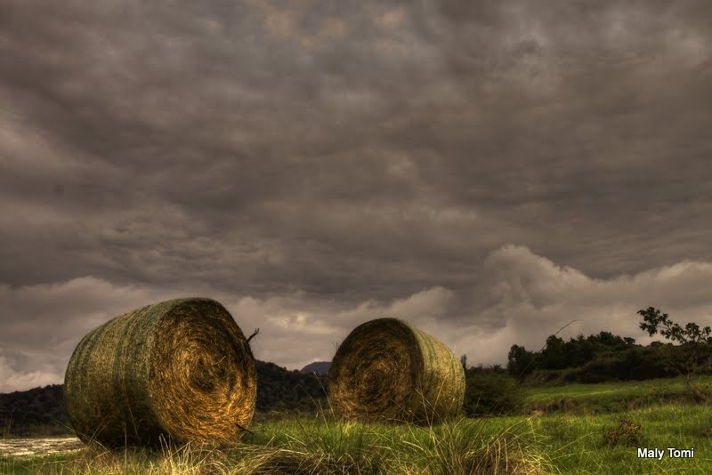 _MG_7814_5_6_tonemapped