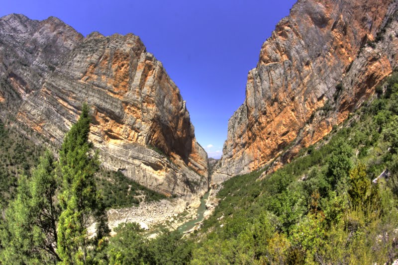 60_tonemapped