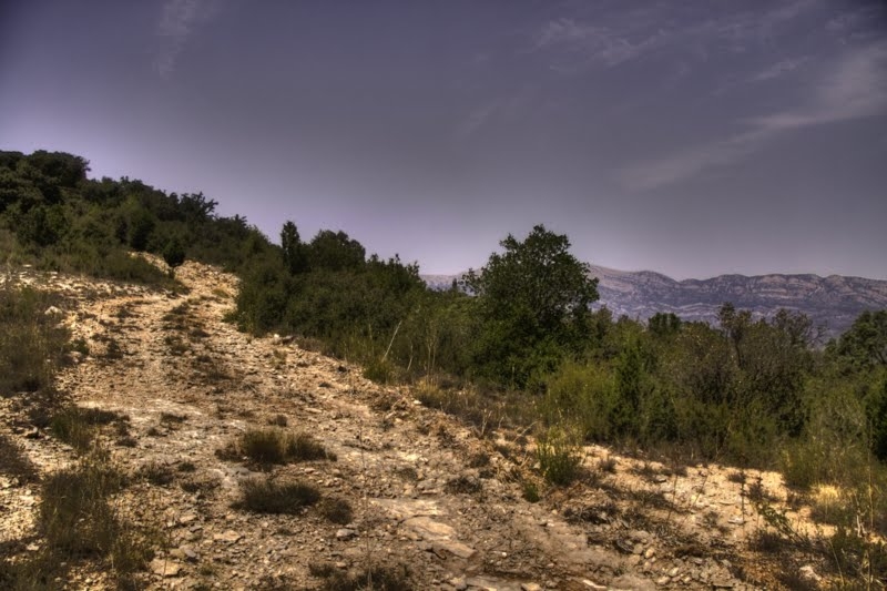 8_tonemapped