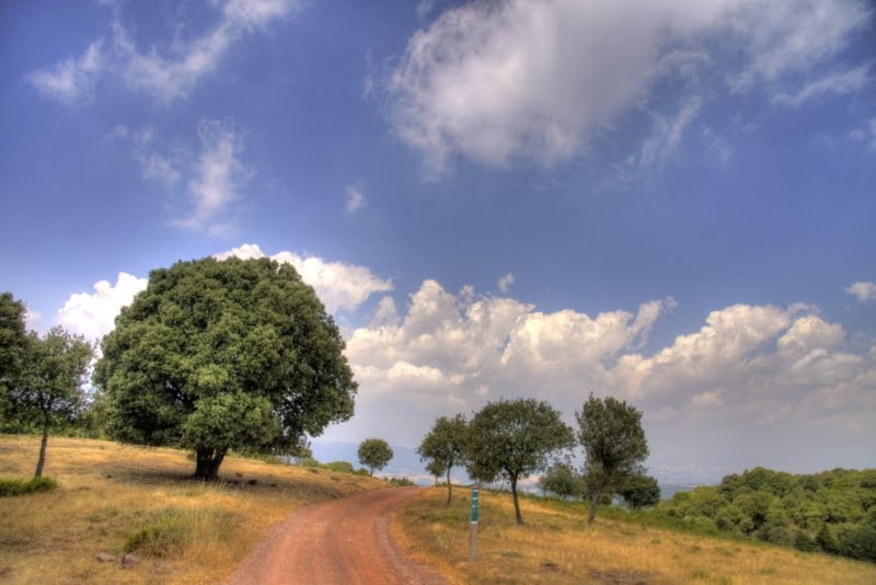 18_tonemapped