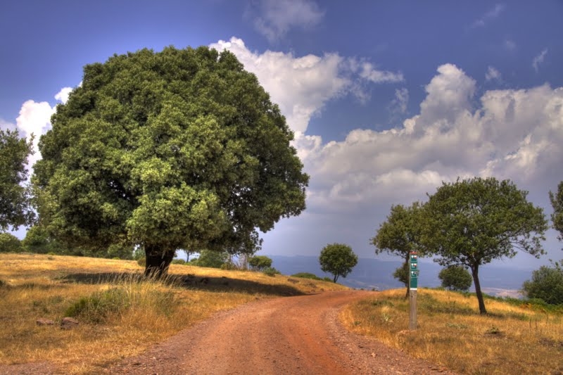 22_tonemapped